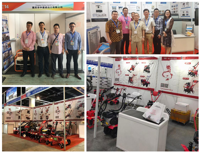 Chaîne de production d'usine de Chongqing Chinabase Import et d'Export Co., Ltd. 4