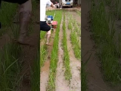 Sarcloir multifonctionnel